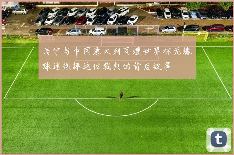 马宁与中国意大利同遭世界杯无缘球迷热捧这位裁判的背后故事